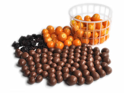Milk Chocolate Covered Dried Golden Berry